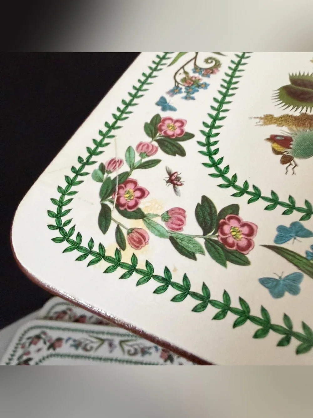 SET of 6 Botanical Placemats by Portmeirion